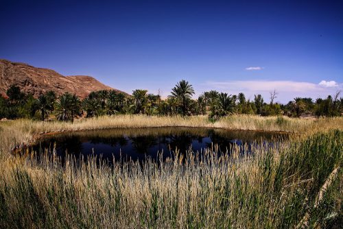 off the beaten paths in IRAN: Garth