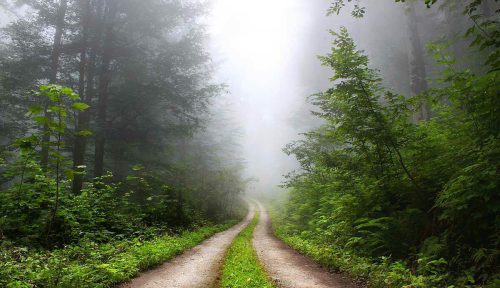 Gilan fogy road