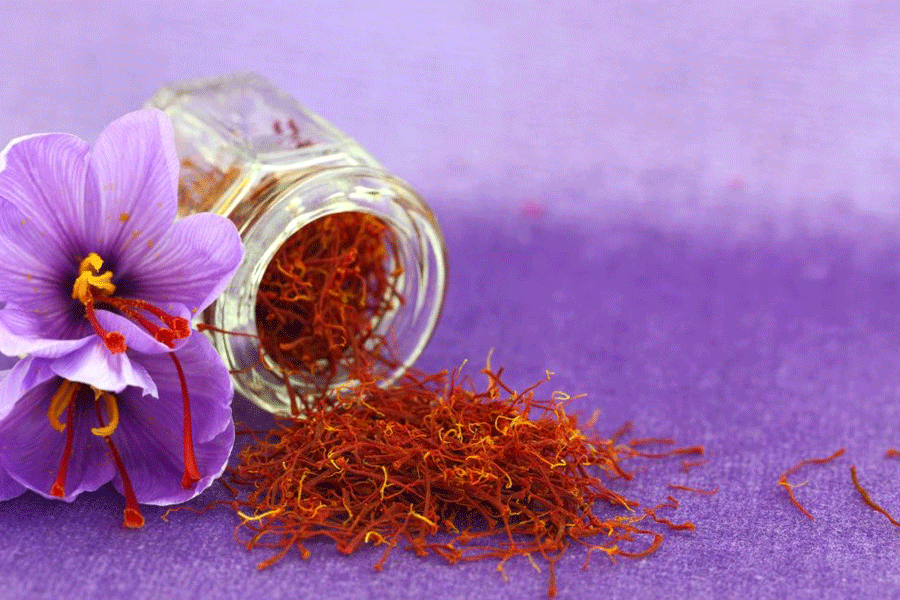 iranian saffron