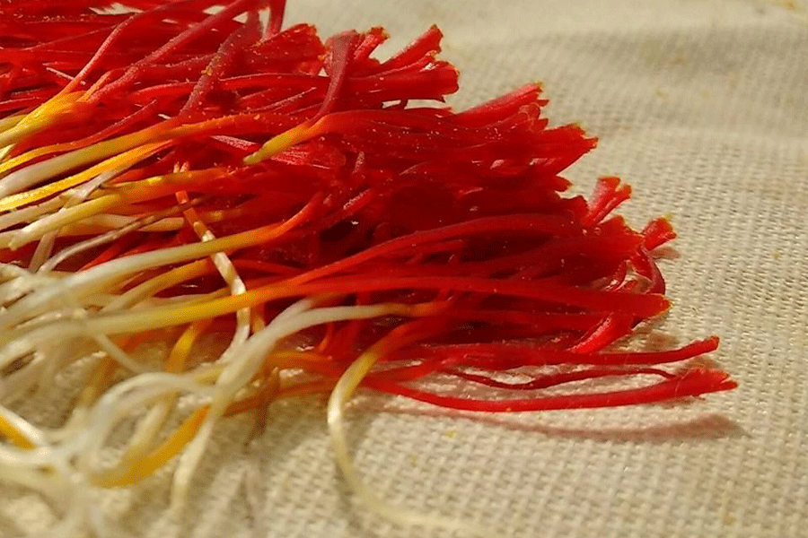 iranian saffron Details